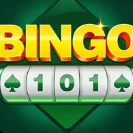 Bingo 101